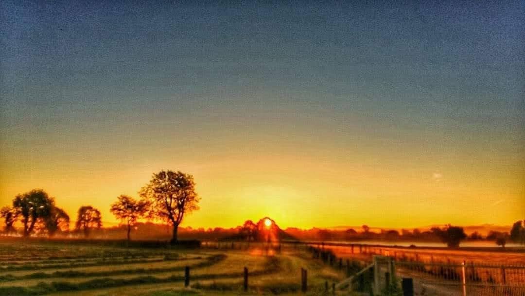 Low evening sun spreading across open fields behind a line of trees