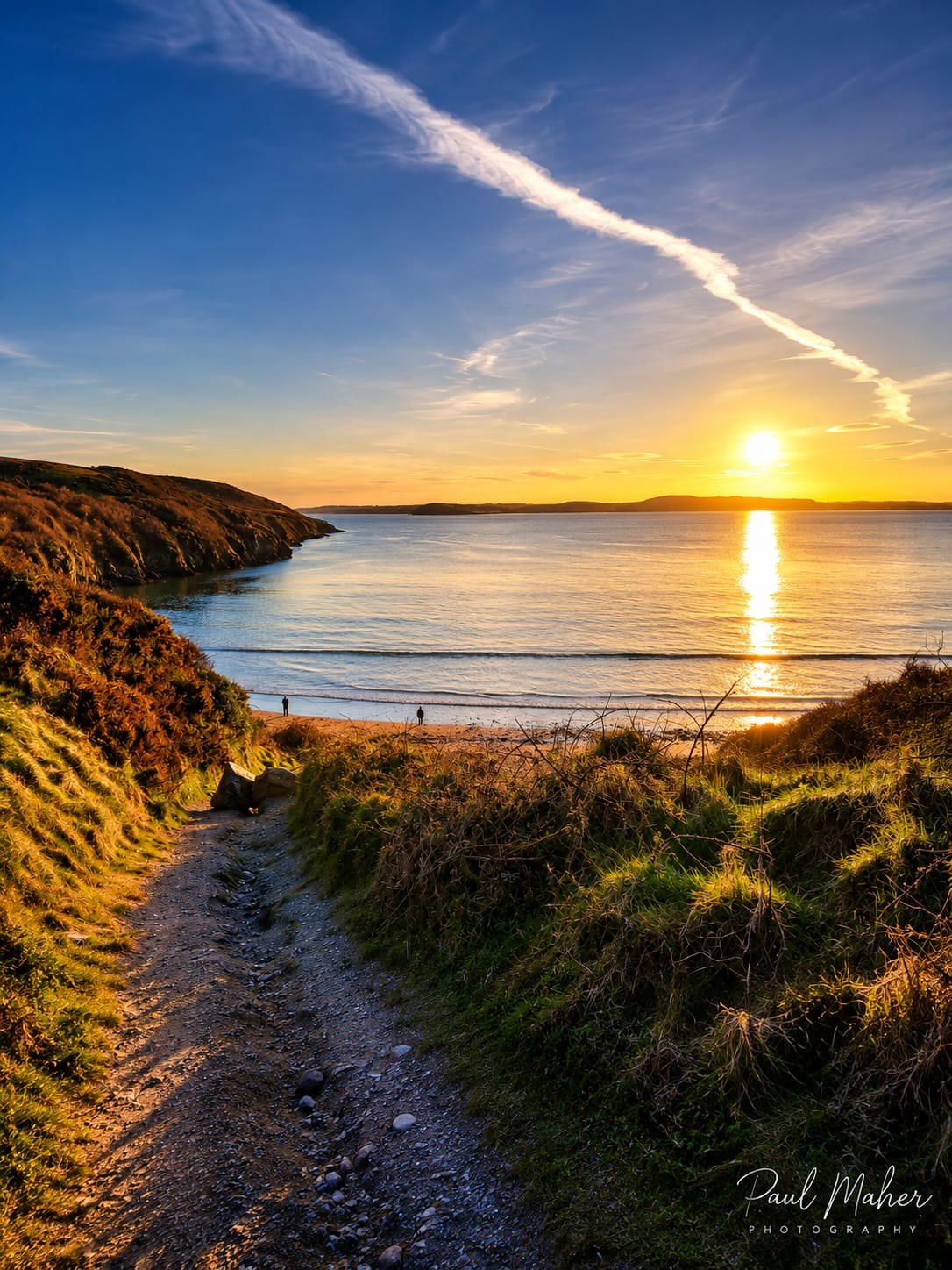 A lone coastal path leading toward an Irish bay
