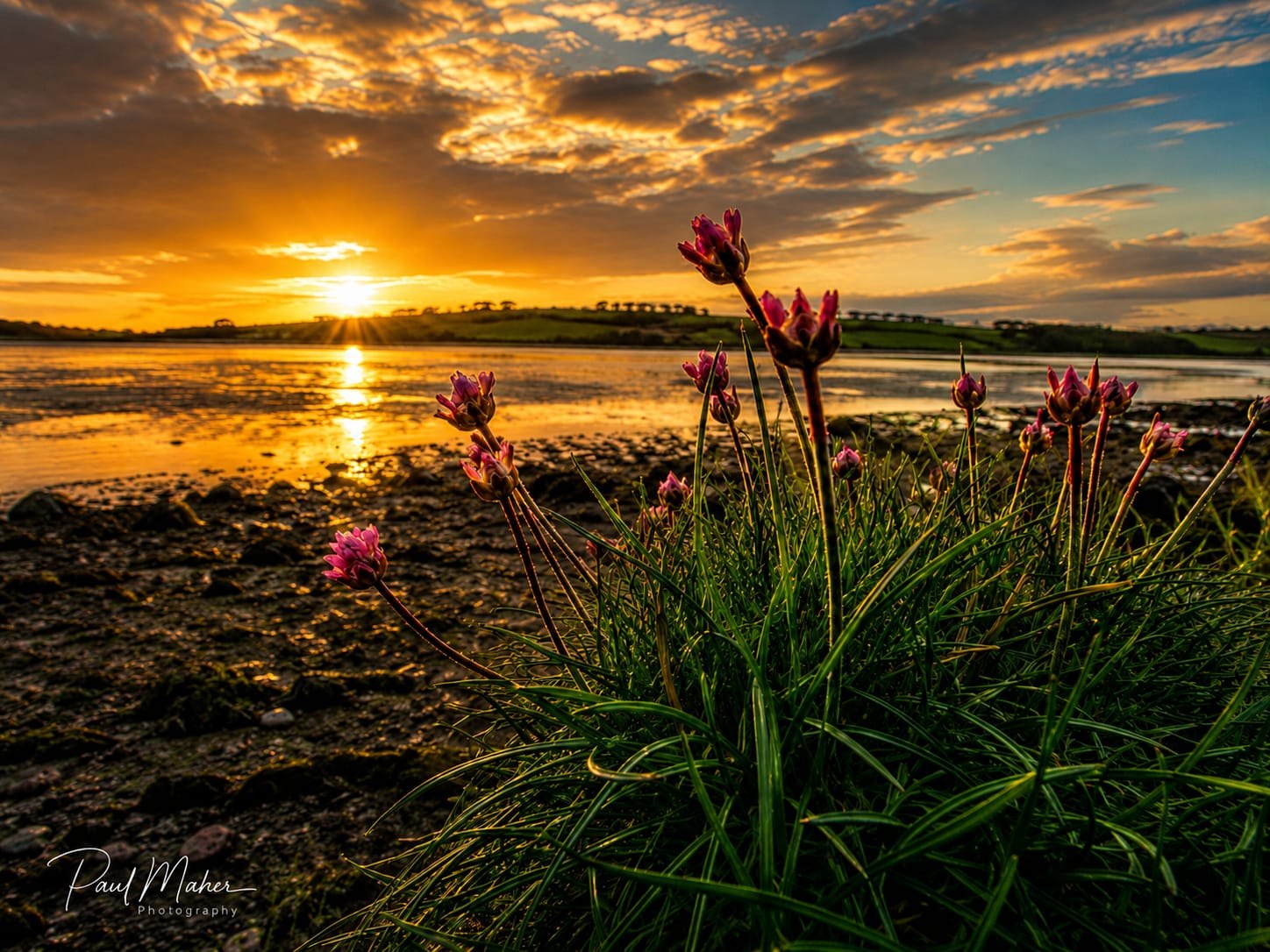 Sunset colour spreading across an Irish estuary at low tide
