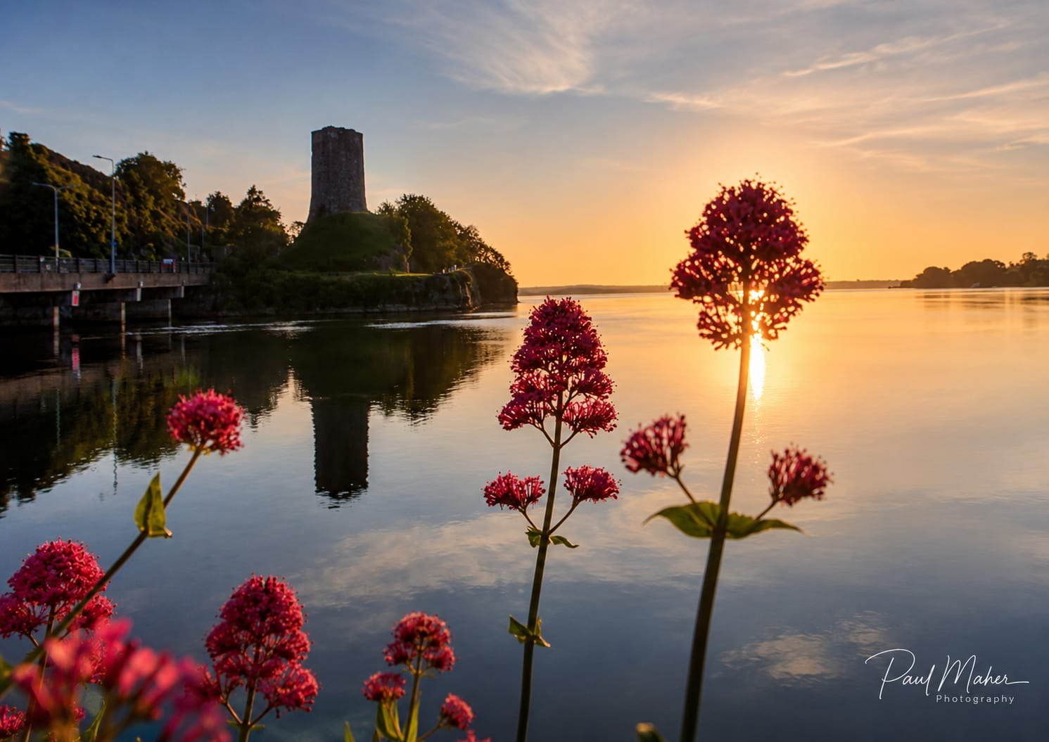 Red valerian flowering beside still water below an Irish round tower