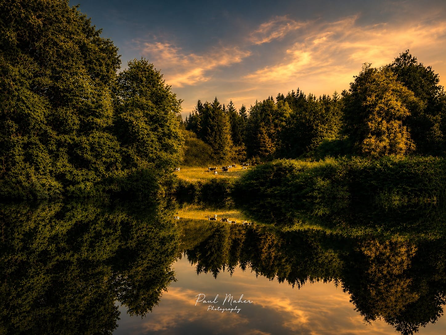 Still woodland water reflecting the Irish sky